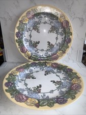 Arcopal Eden 27cm Dinner Plates - Set of 2