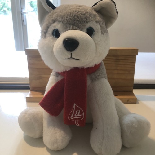 Husky dog soft - dog, toy