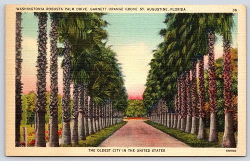 Florida augustine - florida,