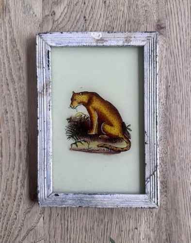Indian leopard vintage reverse - leopard,