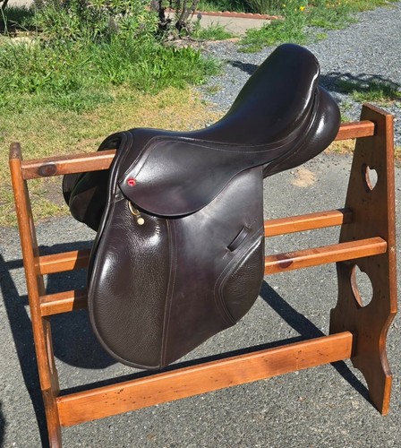 Albion adjusta legend - -,