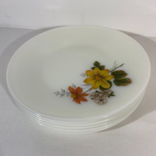 Pyrex jaj autumn glory - 6x,