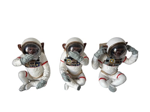 Astronaut monkey - x,