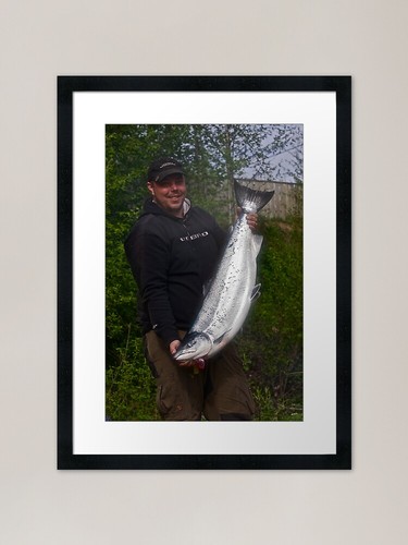 Atlantic salmon bjora - atlantic, kg).