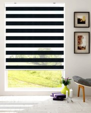 Day & Night Zebra Vision