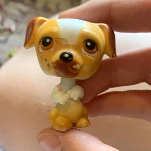Littlest pet shop jack - pet,