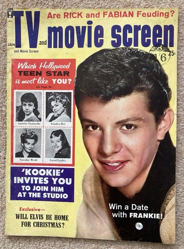 Vintage 1960 movie screen - 1960,