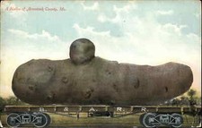 Arrostook County Maine ME Giant Potato Train Car 1900s-10s Postcard