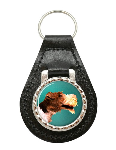 Wire fox terrier - terrier, key