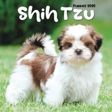 Shih Tzu Puppies Mini Calendar