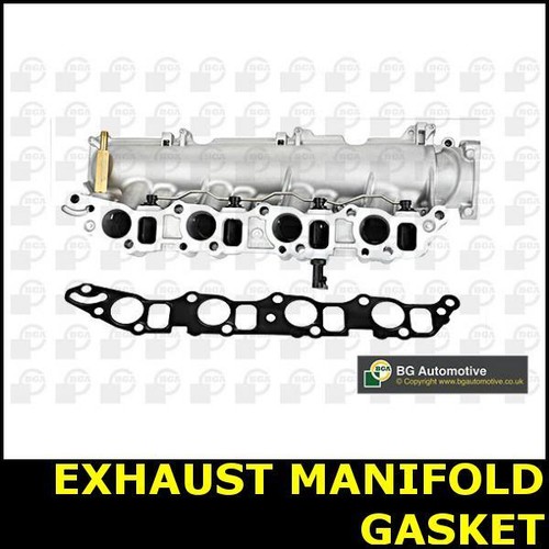 Exhaust manifold gasket fits - manifold,