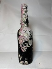 Shipwreck Bottle 19th Century