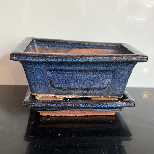 Traditional blue bonsai pot - traditional,
