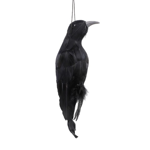 Realistic hanging black crow - realistic,