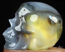 5.0" Gray & White Agate Hand