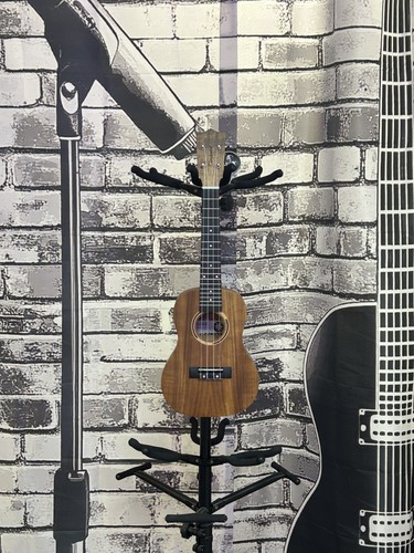 Tanglewood twt8 concert - tanglewood,