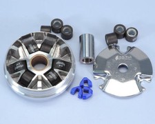 241.340 Polini Variator for