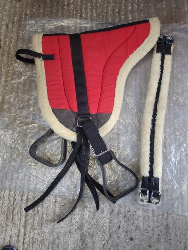 Northern equestrian bareback - equestrian,