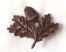 South Nottinghamshire Hussars
