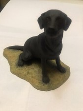 Border Fine Arts Labrador Gun