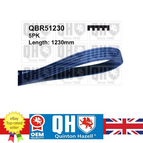 Ribbed belt for - for, bx