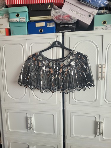 Silvery mesh sequin beaded - mesh,