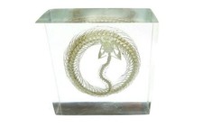 Real White Lipped Viper