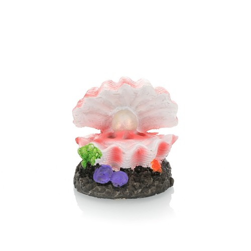 Aquarium fish tank shell - aquarium,