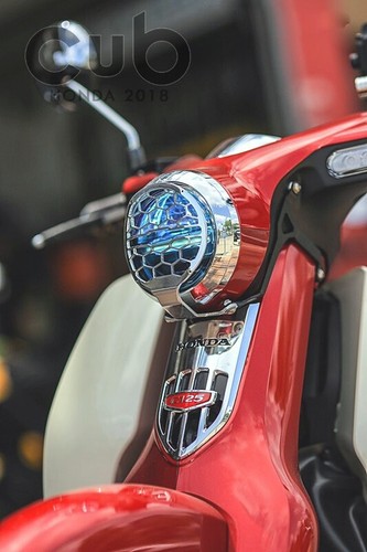Honda head light - guard, for