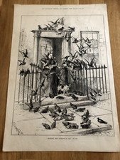 1880 large illustrated dramatic news print - feeding the pigeons in ely place