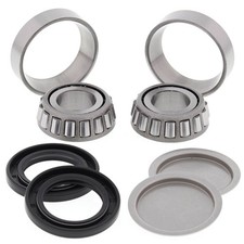 Swinging Arm Bearing Kit For