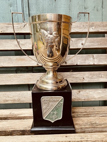 Big silver trophy 18 - 🏆, |