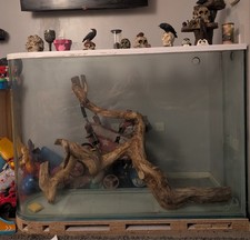 5x3.5 ft fish tank water