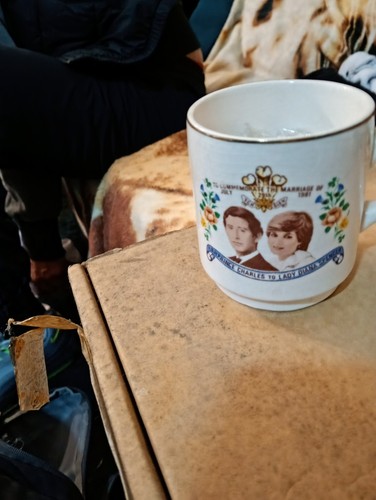 Charles diana royal wedding - royal,