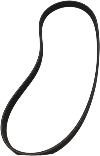 Jaguar serpentine belt type - jaguar,
