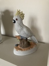 vintage Cockatoo parrot