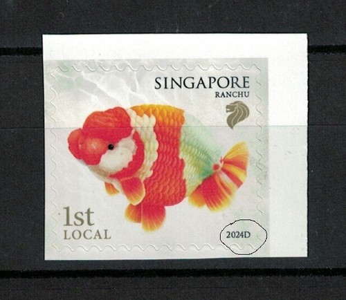 Singapore 2024 goldfish - 2024,