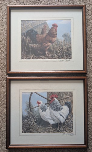 Mark chester signed bird - mark, farm