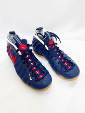 Nike Air Foamposite Pro Blue