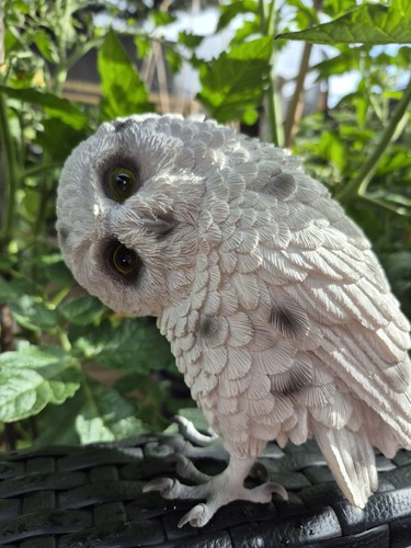 White owl garden ornament - white,