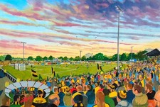 Gander Green Lane Stadium Fine