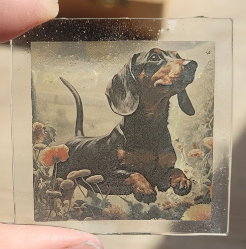 Stained glass dachshund dog - stained,
