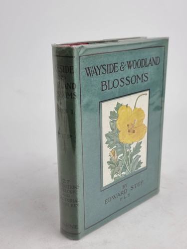 Wayside and woodland blossoms - wayside,