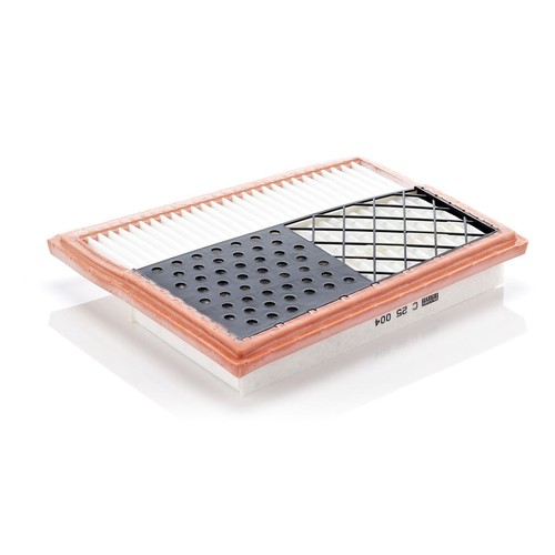 Left engine air filter insert - engine,