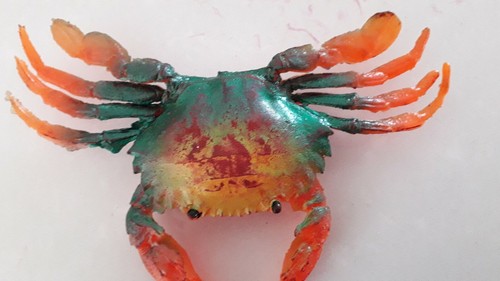 Zuri vintage crab - 🐟,