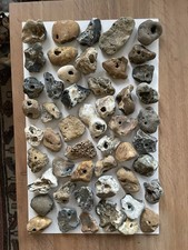 50 Large Natural Hag Stones