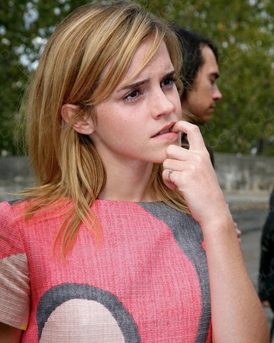Emma watson photo 8x10 - photo, glossy