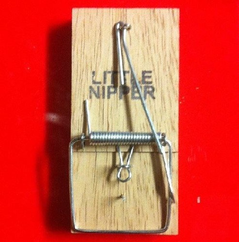 Wooden mouse traps little - mouse,