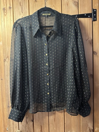 Biba sheer blouse - blouse, 18