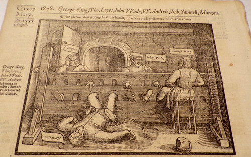1570 foxes book - 1570-foxes, of